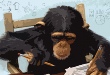 The Importance Of Building A Content Strategy